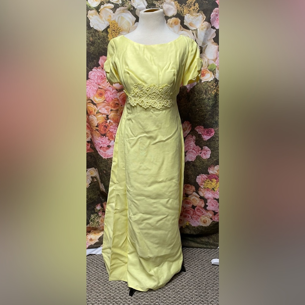 Rare VINTAGE 1960s Sylvia Ann  gown